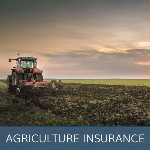 Agriculture Short Term Insurance